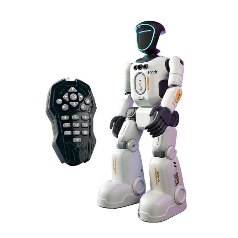 Mini interactieve robot – Bediening via gebaren