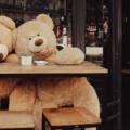 Teddybereb die dichtbij blijven, niet alleen op planken