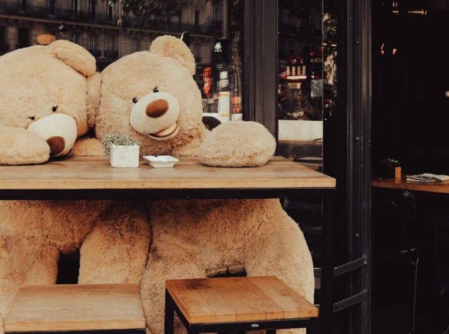 Teddyberen
